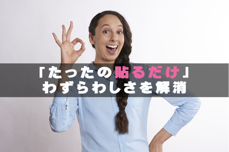 【ＷＰプラグイン】「Head, Footer and Post Injections」を使えば「テーマの編集」でいじらずに「ヘッダーやフッター」内にタグを貼れる