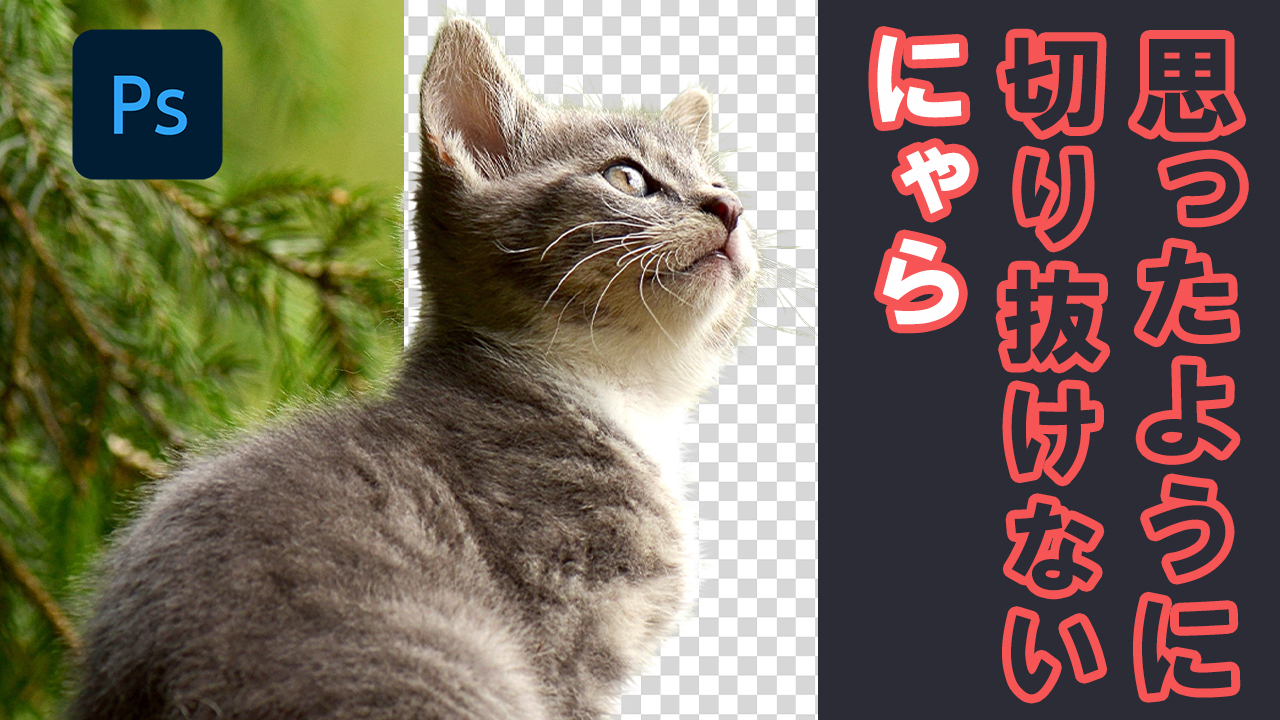 Photoshop 猫の毛の切り抜きとレタッチ チャプターエイト